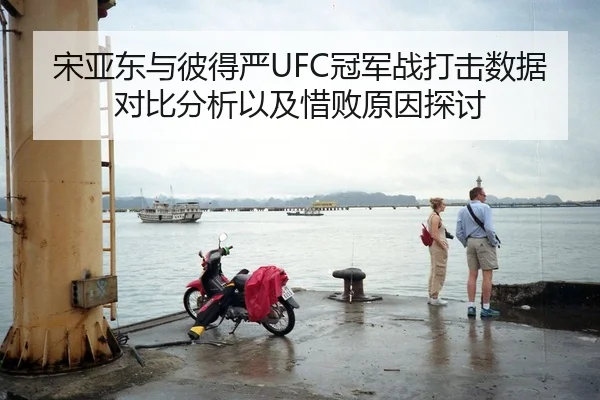 宋亚东与彼得严UFC冠军战打击数据对比分析以及惜败原因探讨