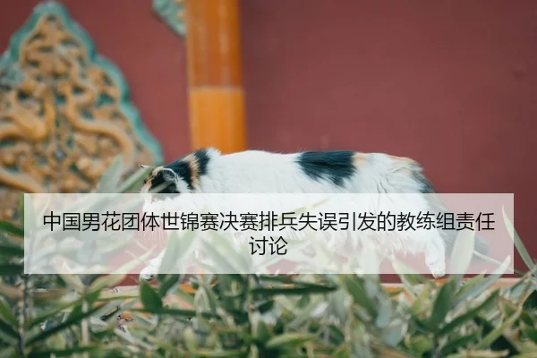 中国男花团体世锦赛决赛排兵失误引发的教练组责任讨论